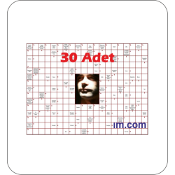 11_CENGEL_R_1_20x15