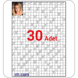 1_CENGEL_R_1_20x28